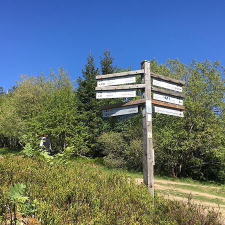 Berg- Und Seeblick Winterberg Exterior foto